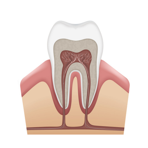 Colton root canal